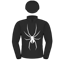 Silk