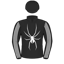 Silk