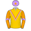 Silk