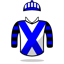 Silk