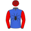 Silk