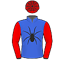 Silk
