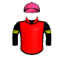 Silk